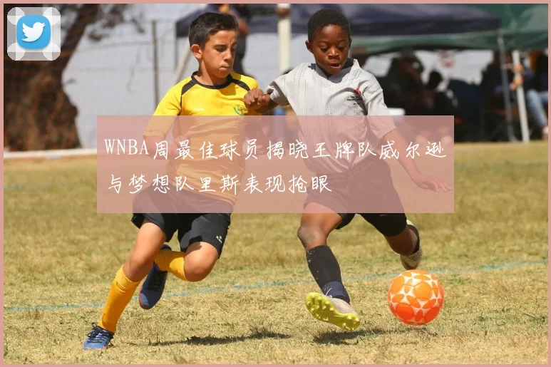 WNBA周最佳球员揭晓王牌队威尔逊与梦想队里斯表现抢眼