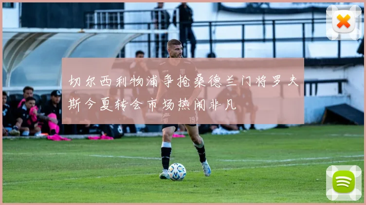 切尔西利物浦争抢桑德兰门将罗夫斯今夏转会市场热闹非凡